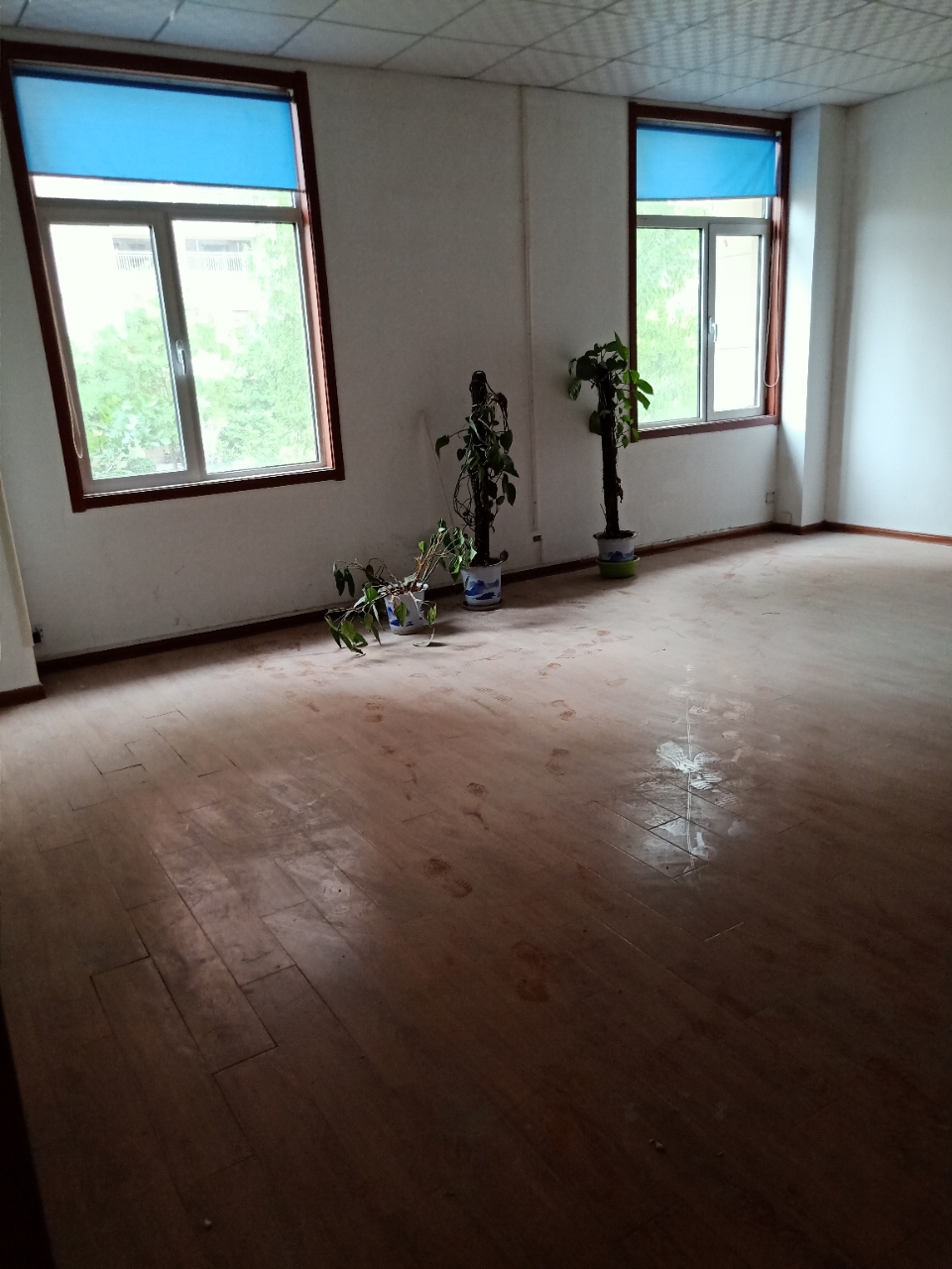 front2_0_Fh2O9ZWiNJ5NsAZBaIY1kvZAe2mo.1623400217.jpg
