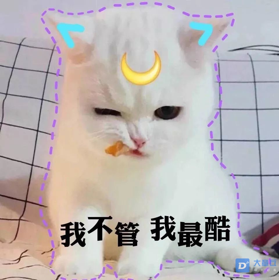 308872a37b60438cb82ecca5645925fa.jpeg