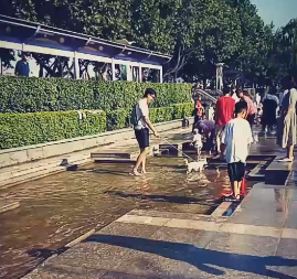 微信截图_20210620164849.png