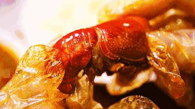 140236bnbsansarwsrrdmf.gif