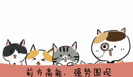 110430t31sdius1bdabvuy.gif