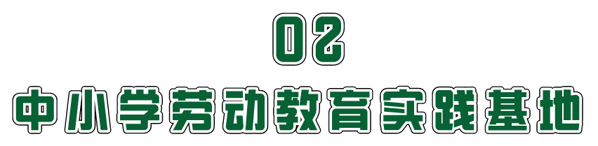 140233lil82e858urten5t.png