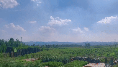140235tz3op307h0336z7v.gif