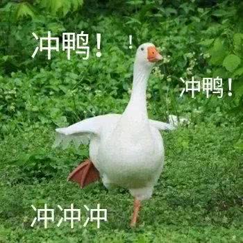 173810kyypd8m8yzb27iyy.jpg