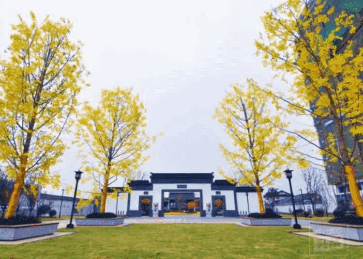 171139e5u6ctww6udmbfbu.gif