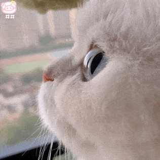 3f5990e6234e41f4be175e94d63443a2.gif