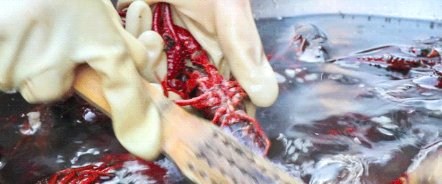 120505cd9d5i9ioo0f6x0f.gif