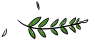161806qb2pbb636e6n60kl.png