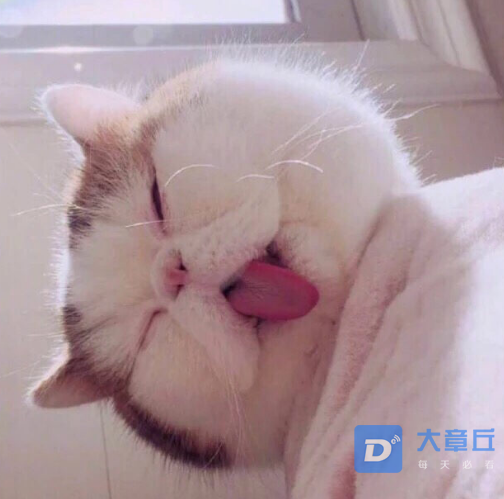 QQ浏览器截图20210718172116.png
