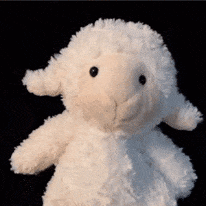 7941bb6d076d44628fb2a3ed81b41500.gif