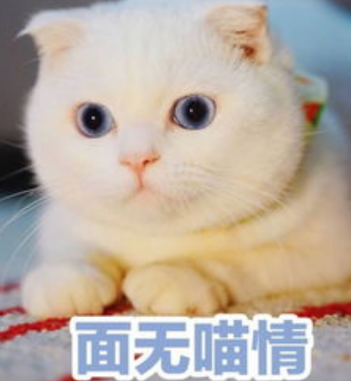 QQ浏览器截图20210726180545.png