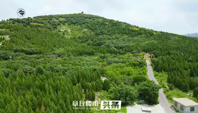 160313ps34licv3lis4isc.gif