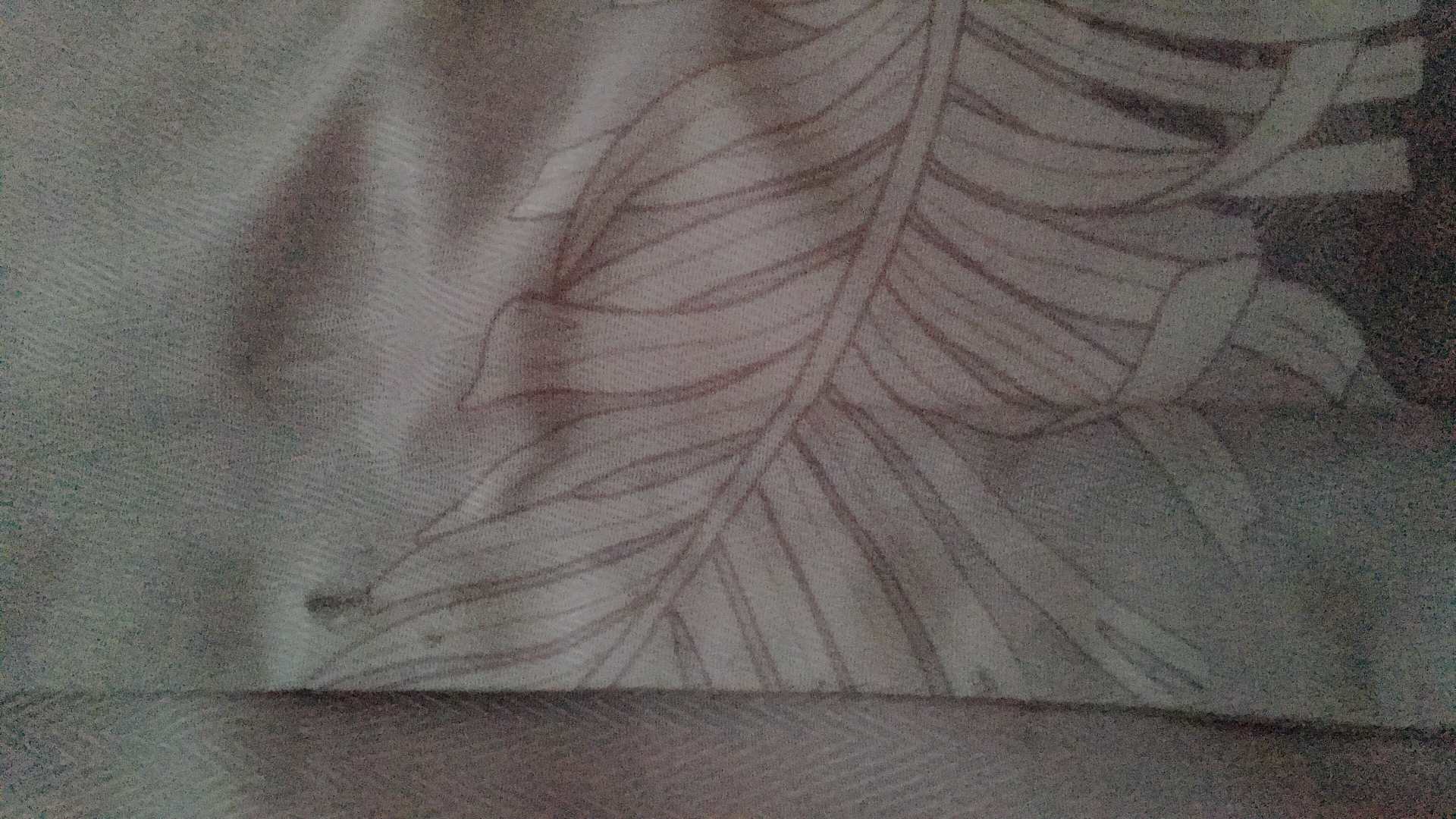 front1_0_Fi3nGshuRkimqxwB8cFk1OCTYP1z.1627996275.jpg