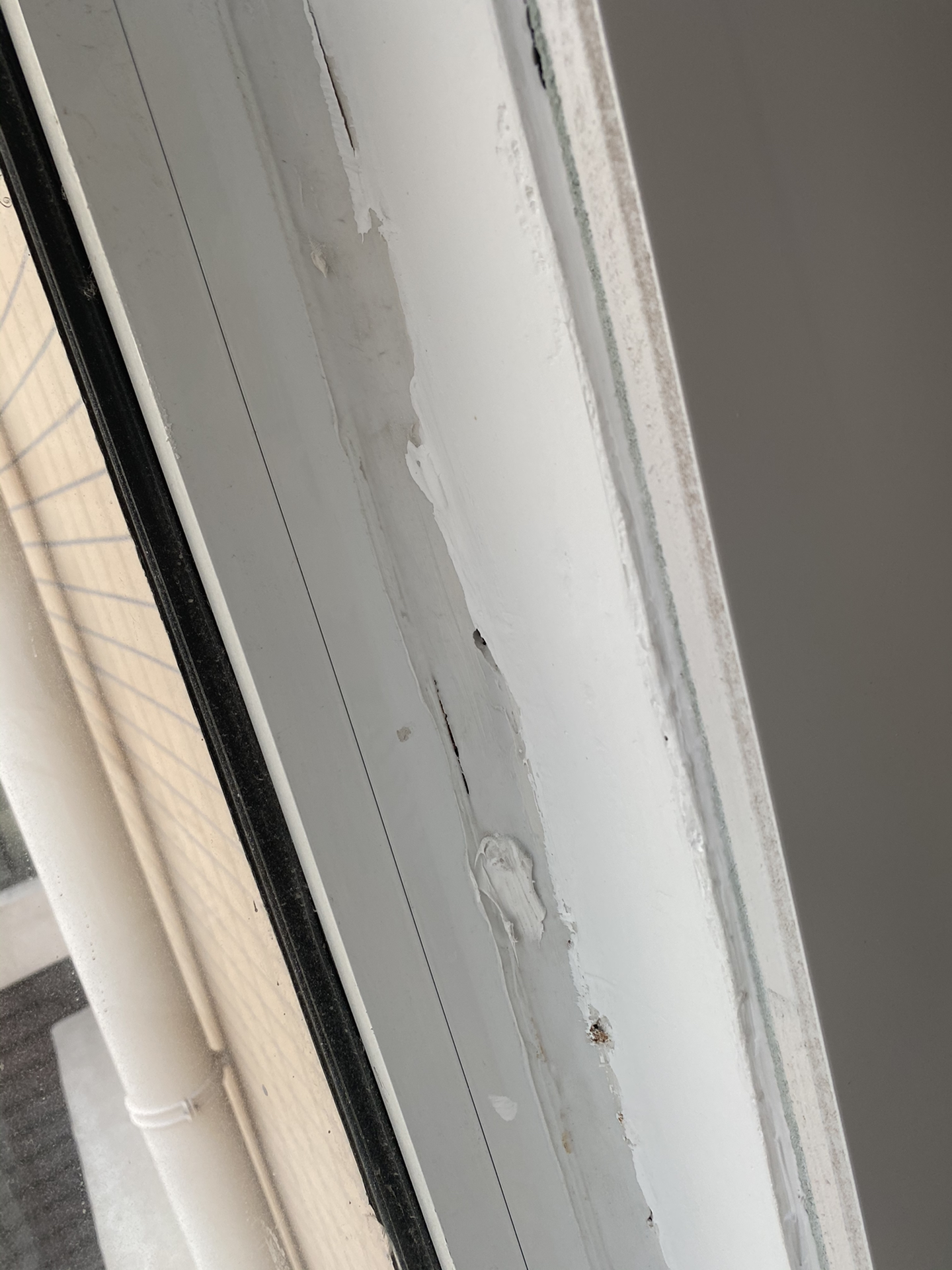 front1_0_Fg53BqDHiJJOxGYiZv575pzKH11d.1628230629.jpg