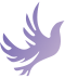 141555j3v89s9mswgo1vgf.png