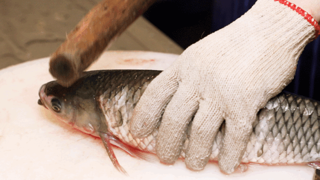 142536fn95visai5ir5sif.gif