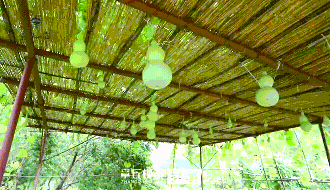 144850sl4af6f4cwcshmw2.gif