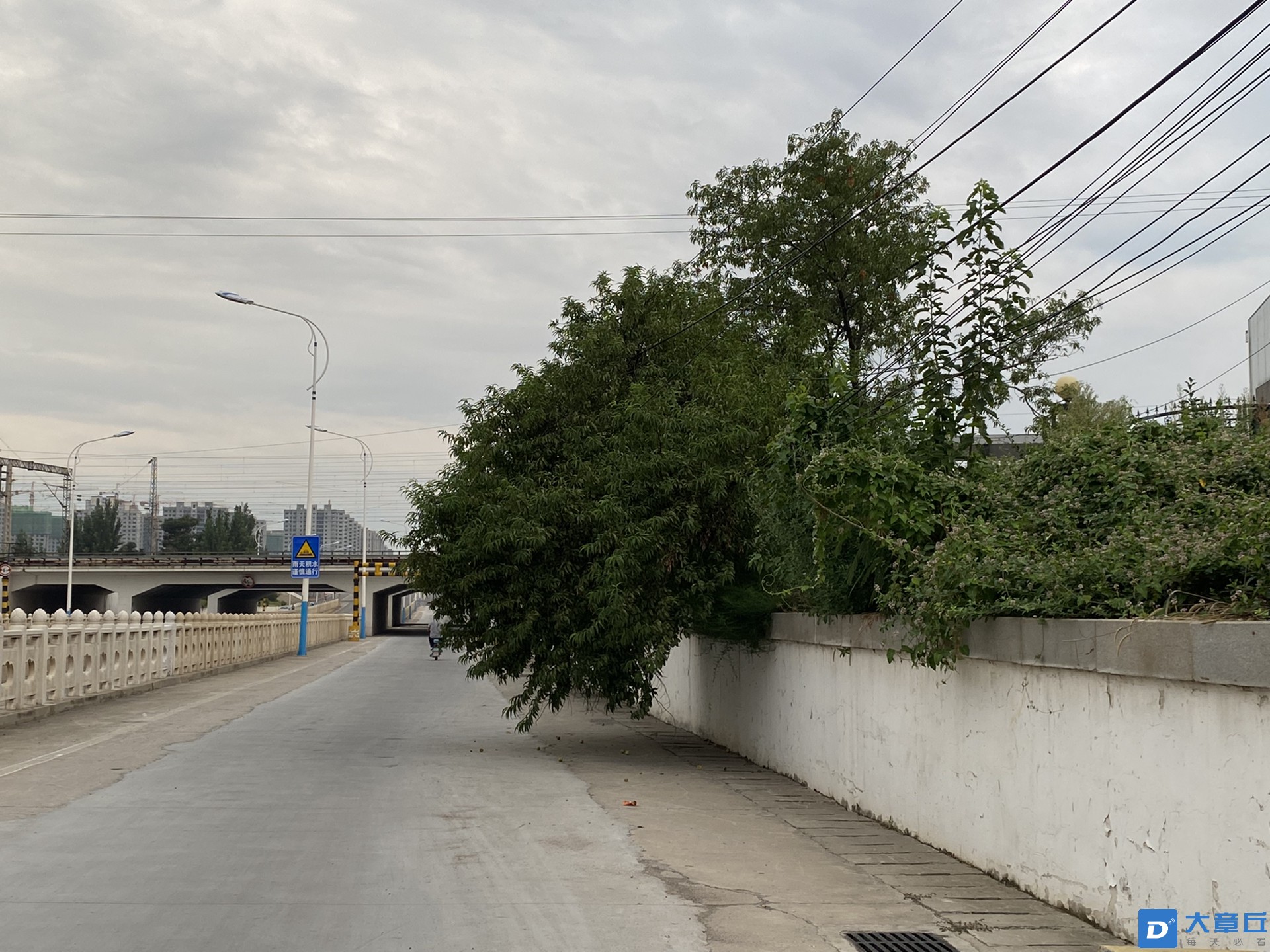 front1_0_FlCjb4_WrvlAfOwmCPKnfek1sRiA.1629717777.jpg