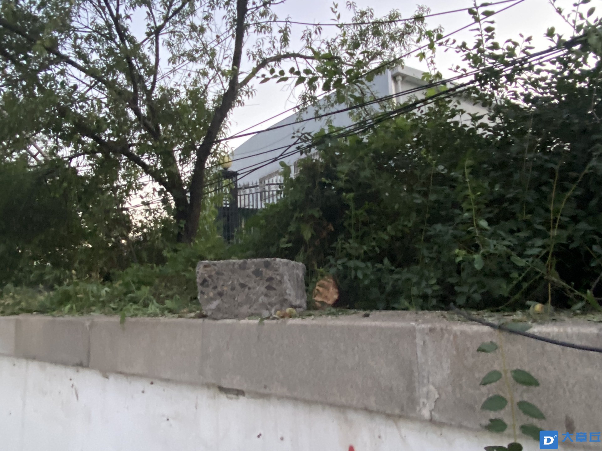 front1_0_FjojdBJV2Q0q2xW60QKzJjyQpMhO.1629804250.jpg