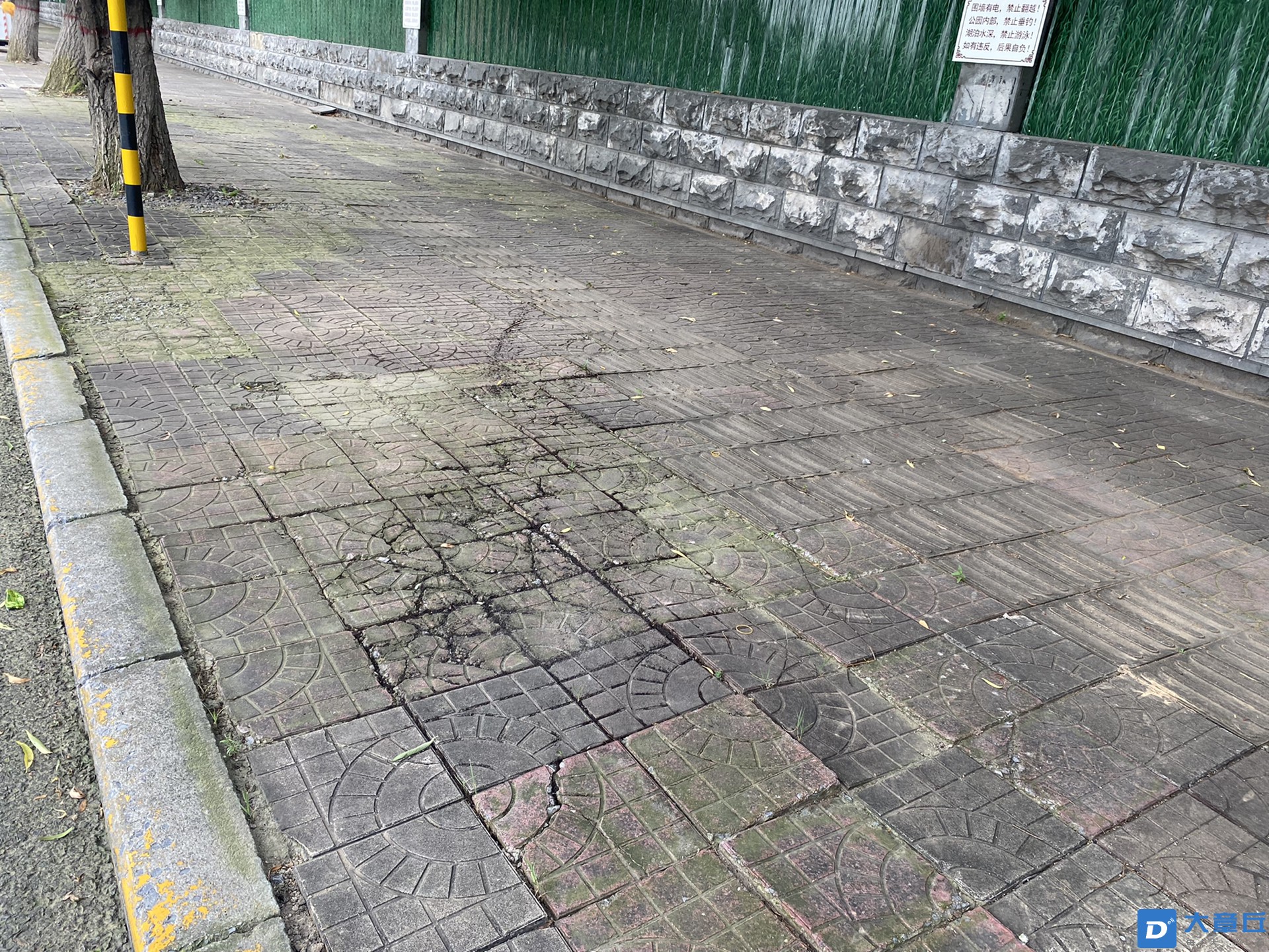 front1_0_FgXuuL5M8rN6L5vBAbp16Q0JDy5B.1630030158.jpg