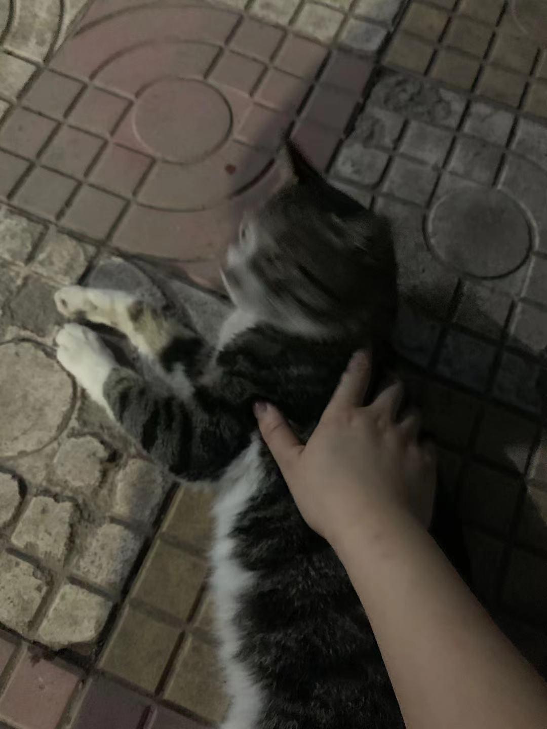 微信图片_2021083111471723.jpg