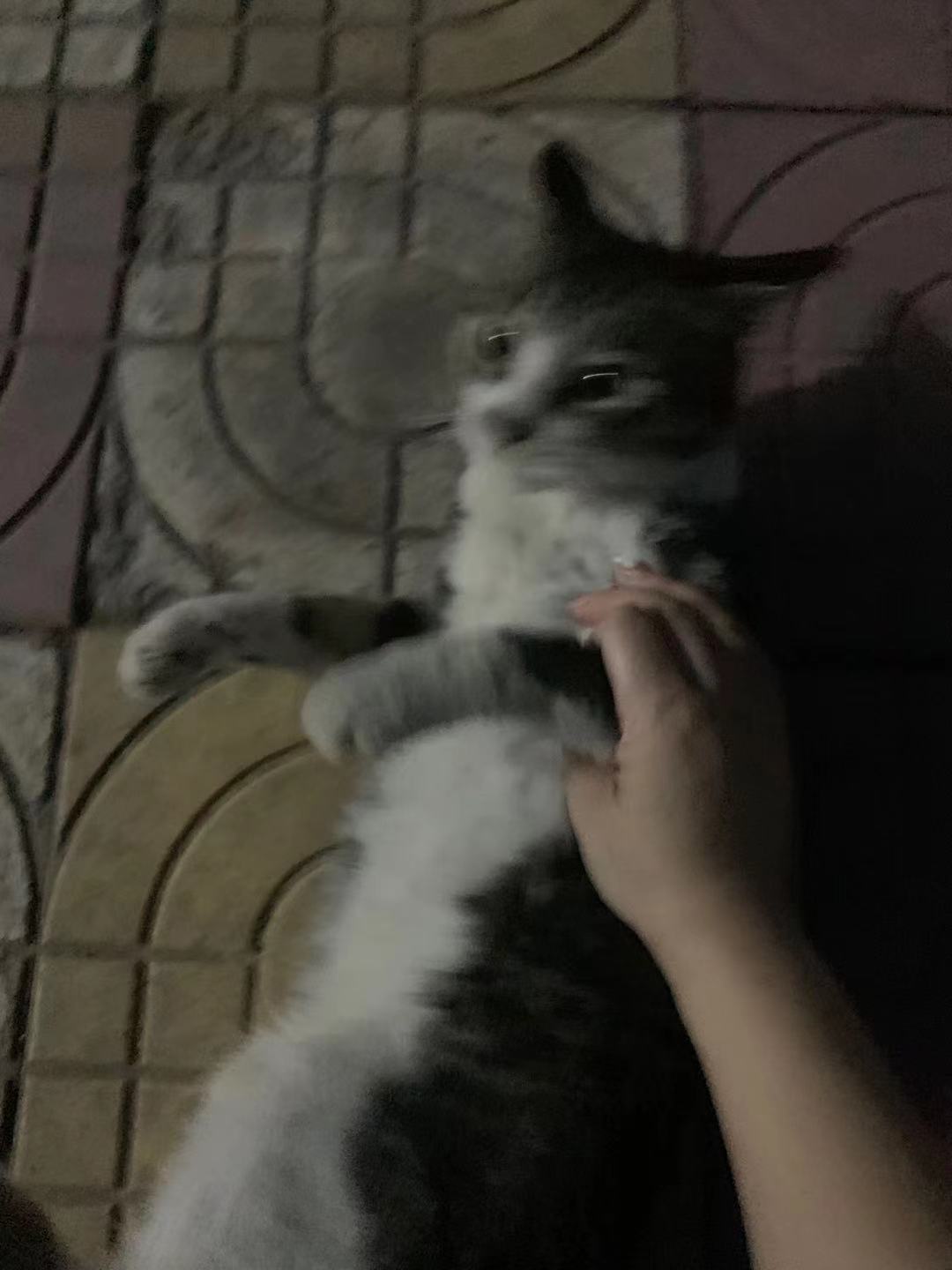 微信图片_2021083111471725.jpg