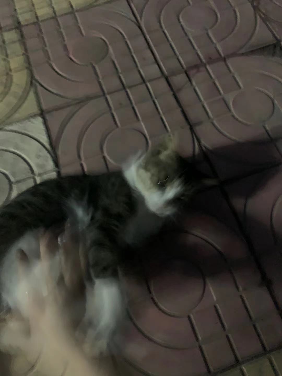 微信图片_2021083111471726.jpg