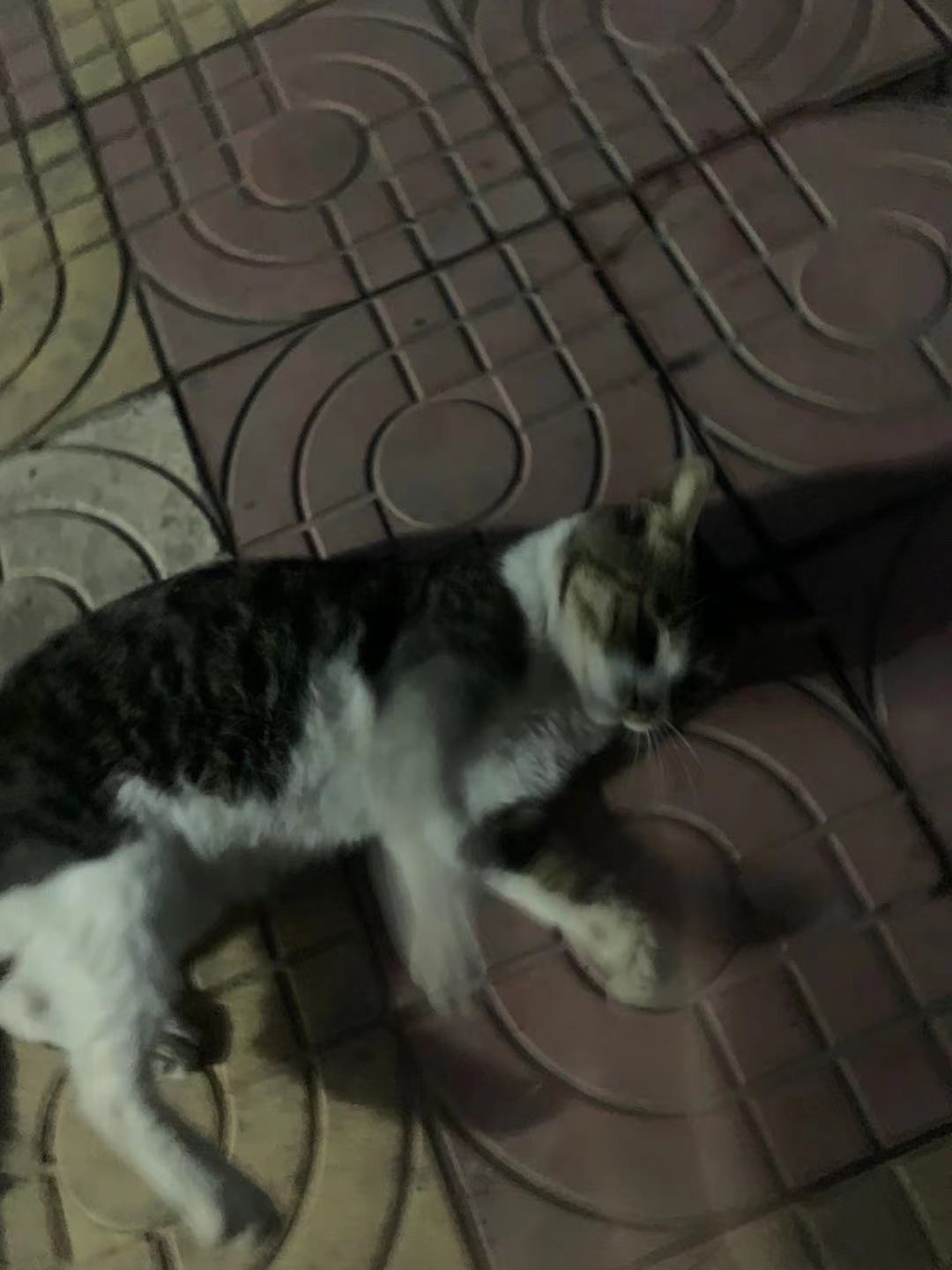 微信图片_2021083111471727.jpg