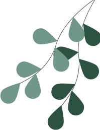 173725ewnrhiwezoe8n5zr.png