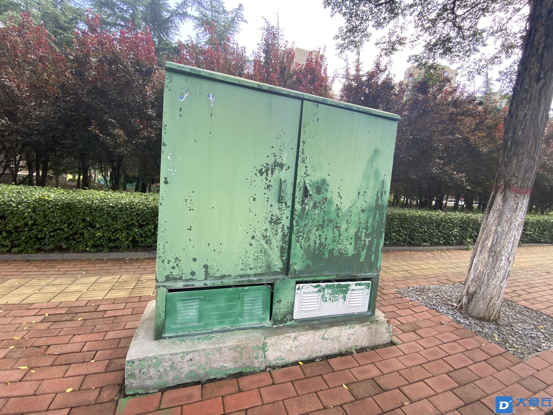 front1_0_Fq4HrL-J5ZbKVvDK1LVg1XkTeF9d.1630985567.jpg