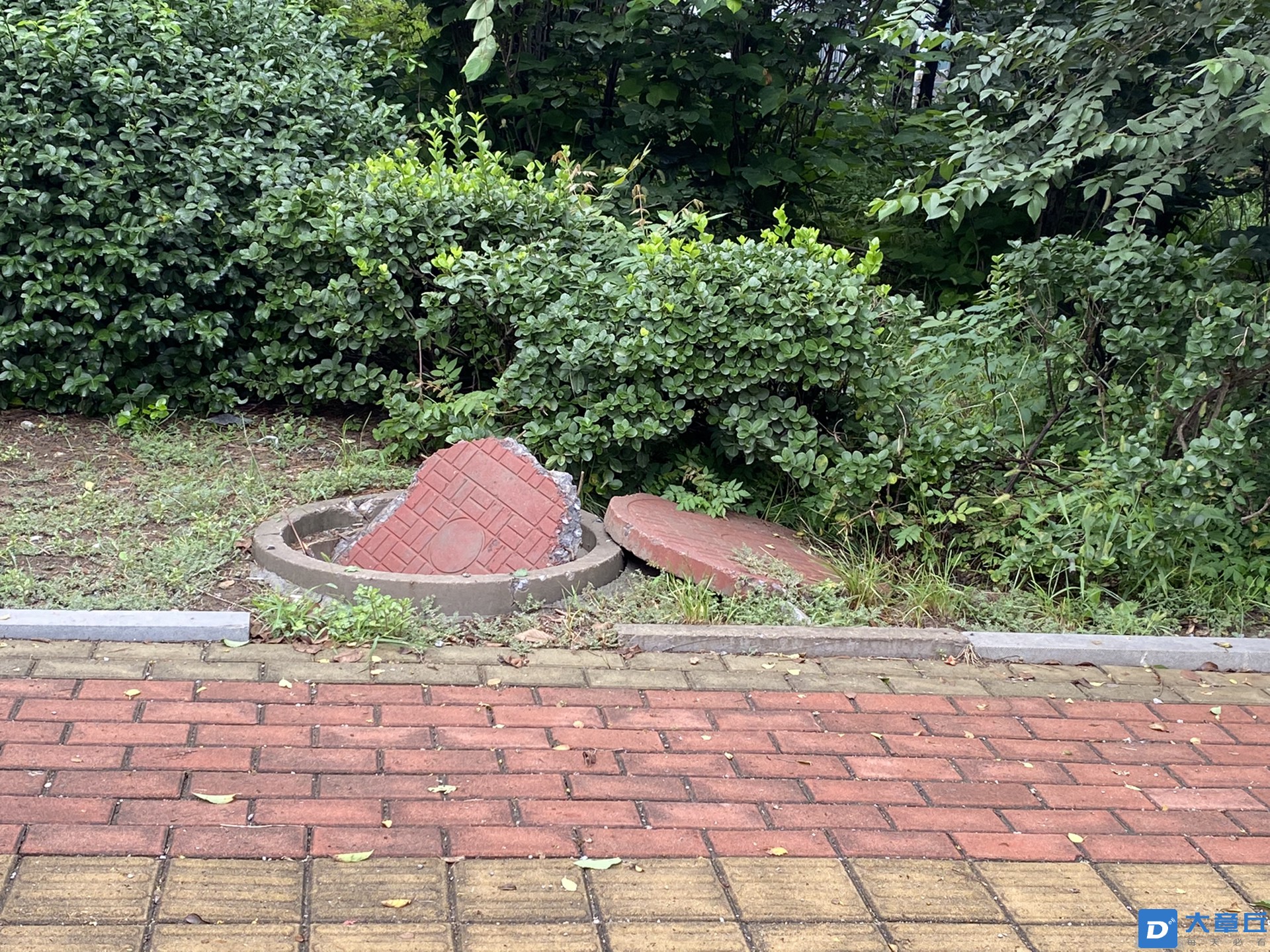 front1_0_FmdVph3_zAjkbXXqOlqskisCUL4M.1630996117.jpg