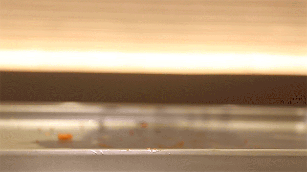 075432kdih6qtx2csi2txu.gif