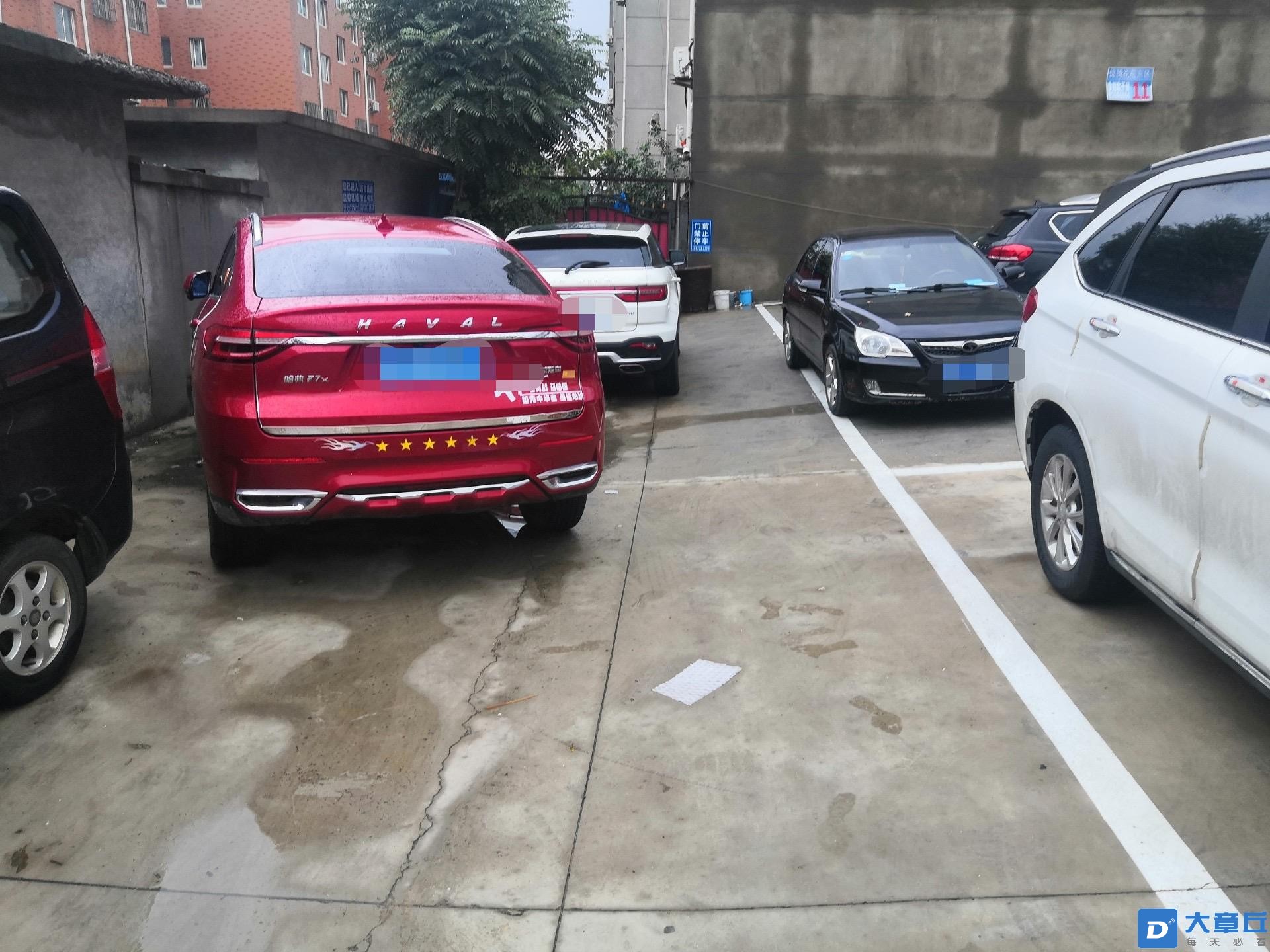 打码.jpg
