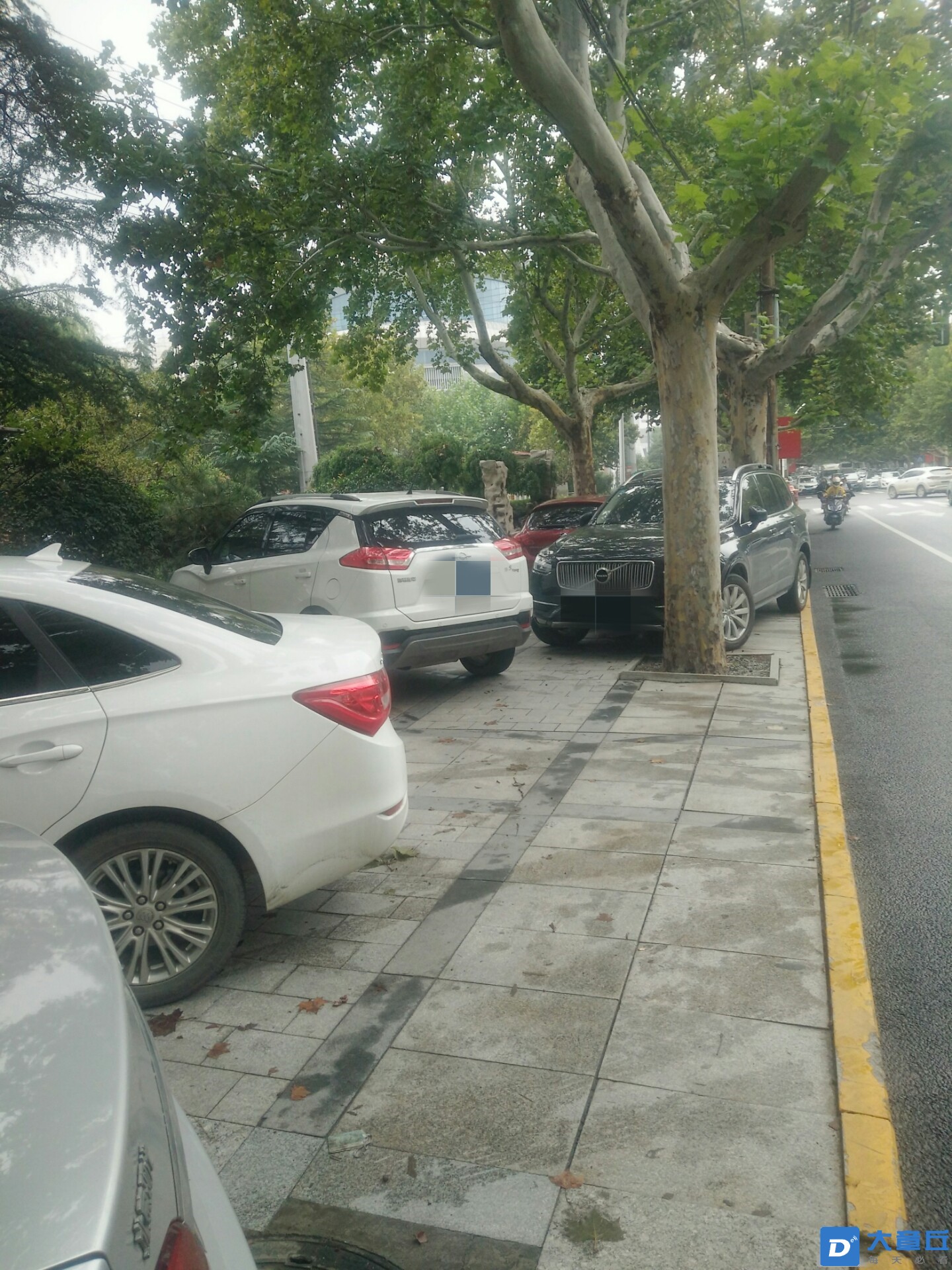 130537dg8wsnrr42gsnf4g_副本.jpg