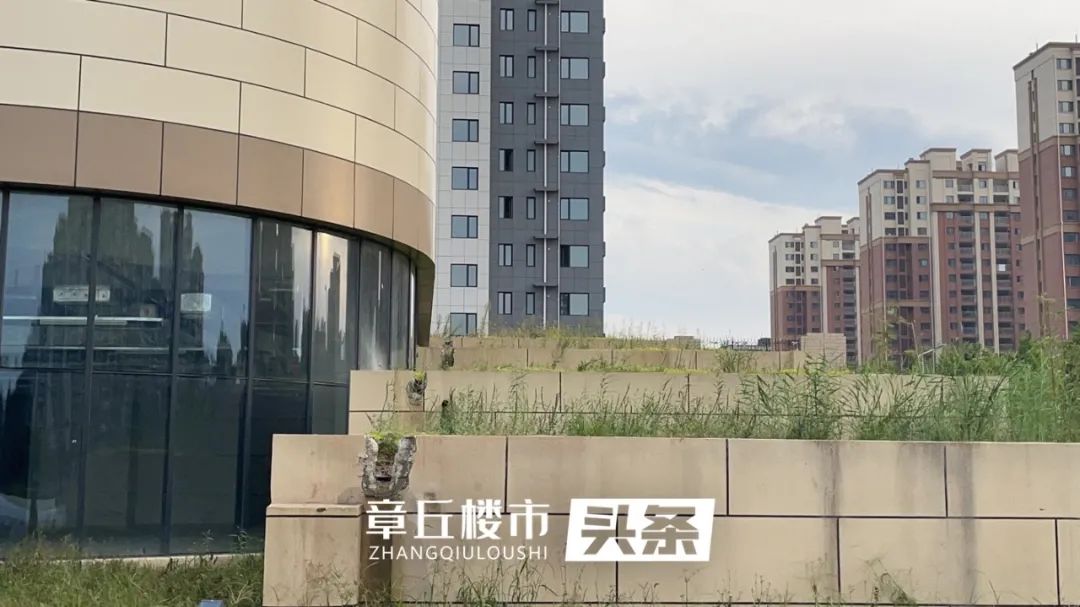 171235zjguoouncukc5qzk.jpeg