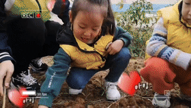 121212jdu8pdp3l3cfd2pd.gif