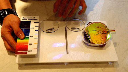 083811lb168geqm01eub0u.gif