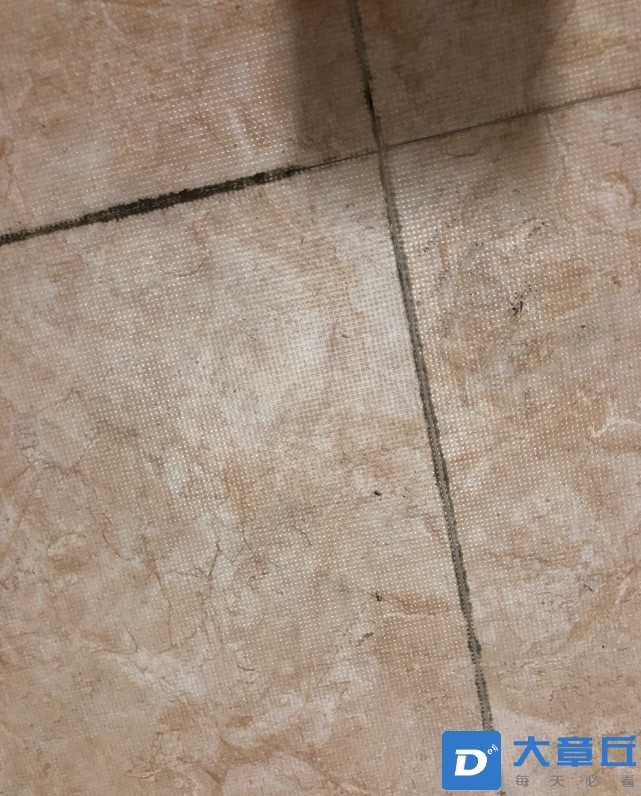 front1_0_167382_FqgxoZLzl1q_rE8ujcBFgqFiU5lN.1636331112_08_25_13.jpg