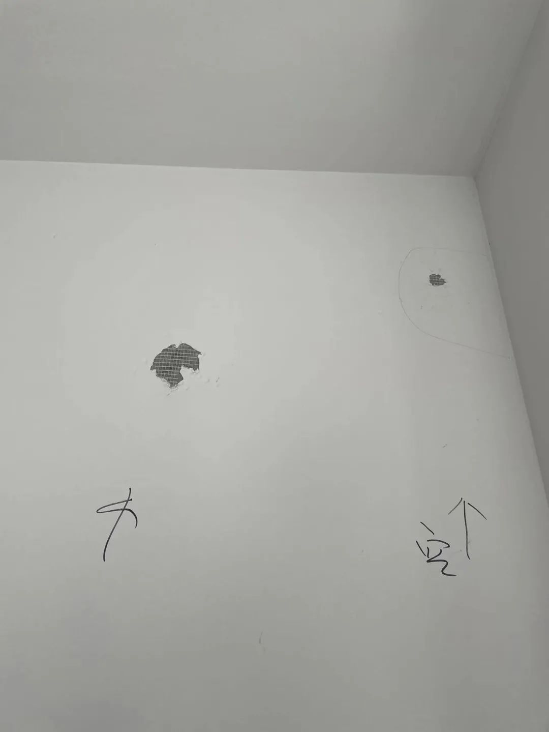 155425aa1d1pds05ozg68f.jpeg