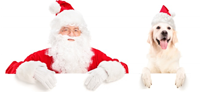 144222ewfttyfcctocrj4t.png