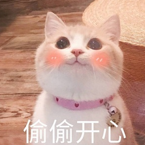171504ryyozna85zt1bb5n.png