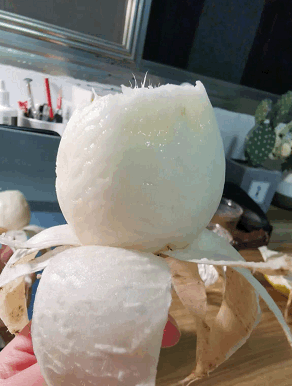 front1_0_199022_FreJjpI4bTL2RmQatn2JOjU9iaJy.1638351019_17_30_19.gif