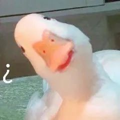 144119eddll6lkpqdll846.jpeg