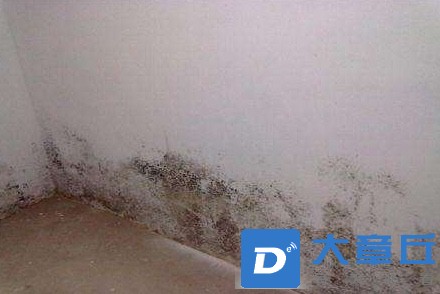 front1_0_168477_FiwsrzIGcZIAjqGriVVzuOy__UDW.1639615234_08_40_34.jpg