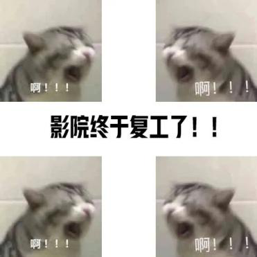 135404p8iy9ttyzzsz0q8y.png