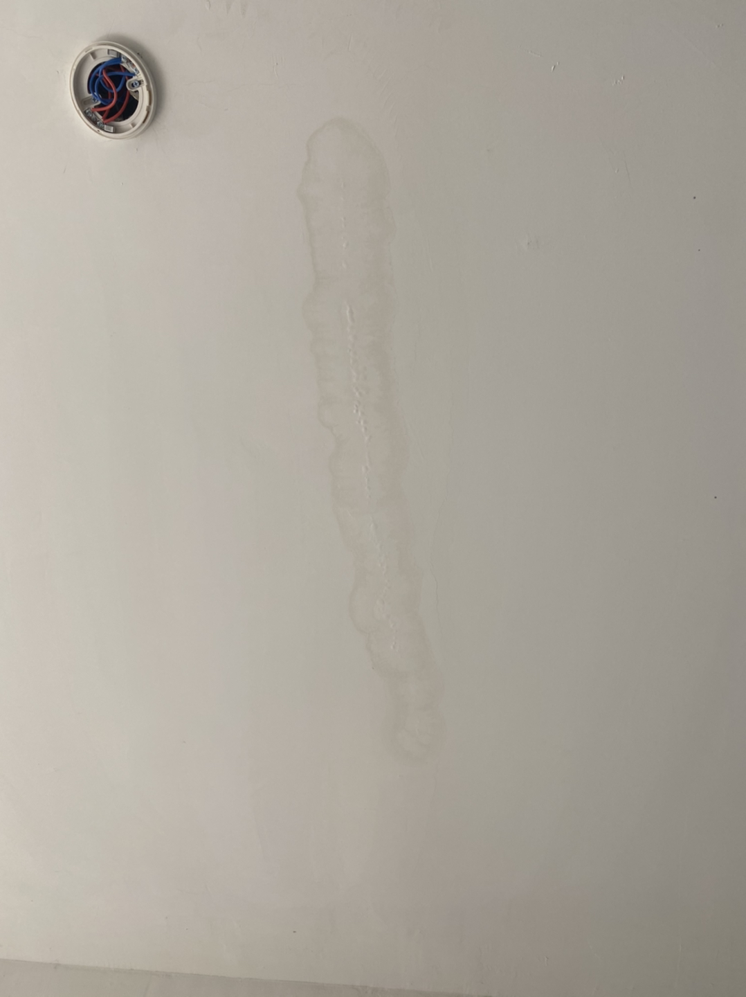 20211224222058front1_0_195723_FosD1_zDBER027yIHas5YImCstZg.jpg