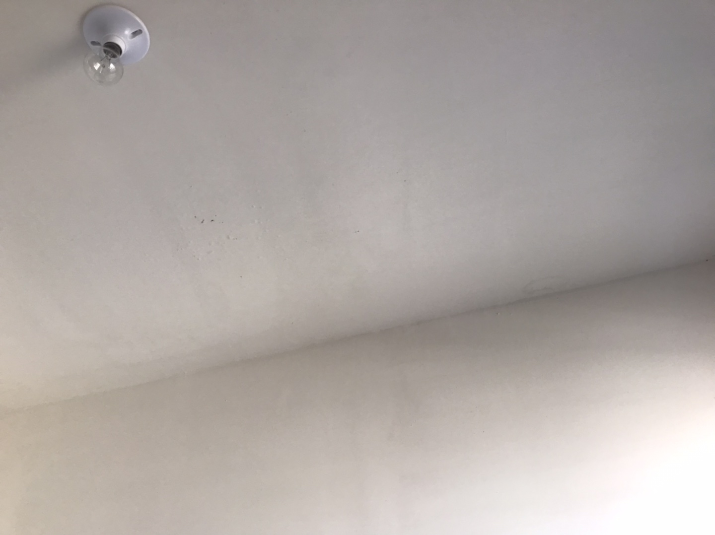20211224222935front1_0_160420_Fh3aZEDmPoaP_5acDCG8xu1JWav6.jpg
