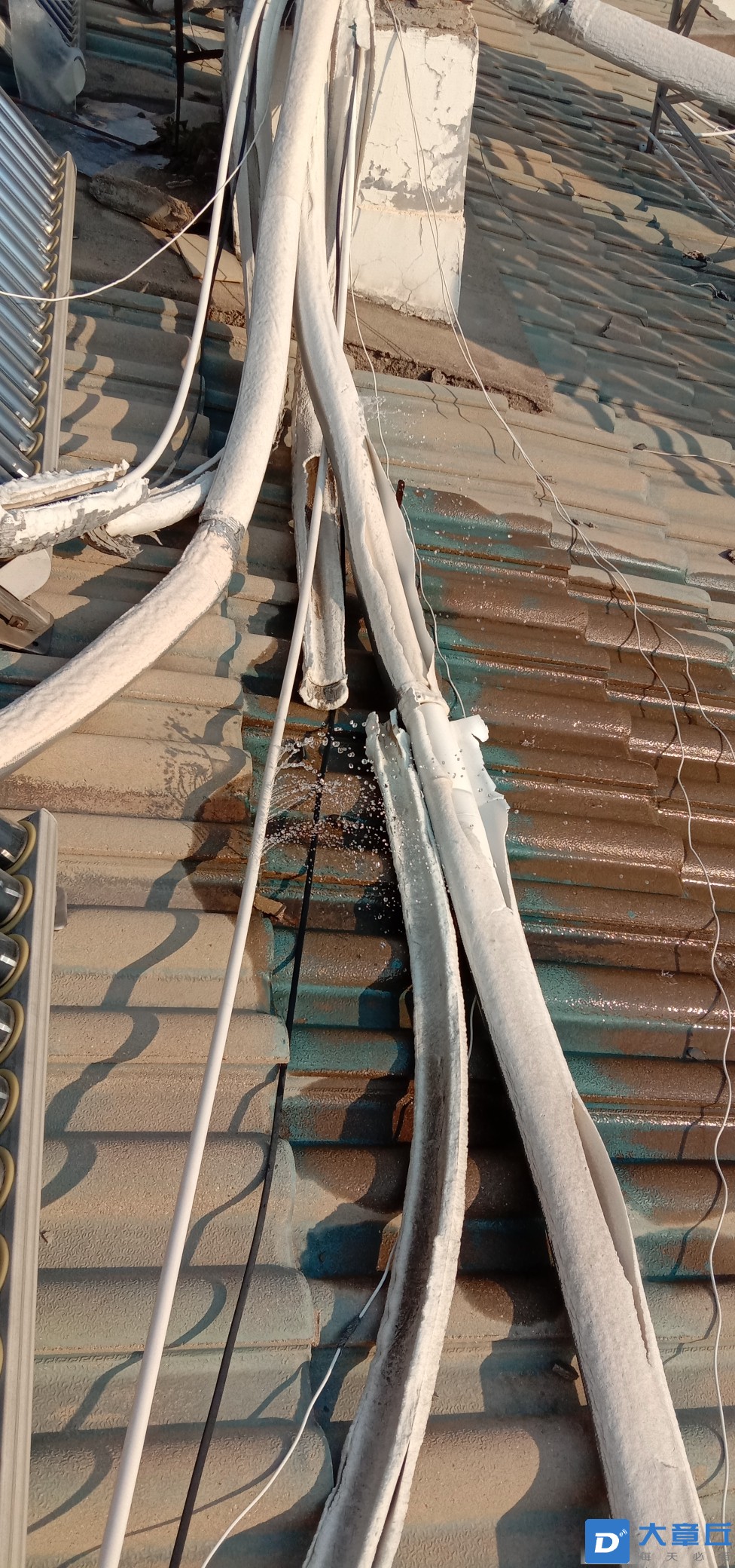 20220109070457front2_0_124156_FrV2wPOu7U7AgCS_cJSqvEusMl95.jpg