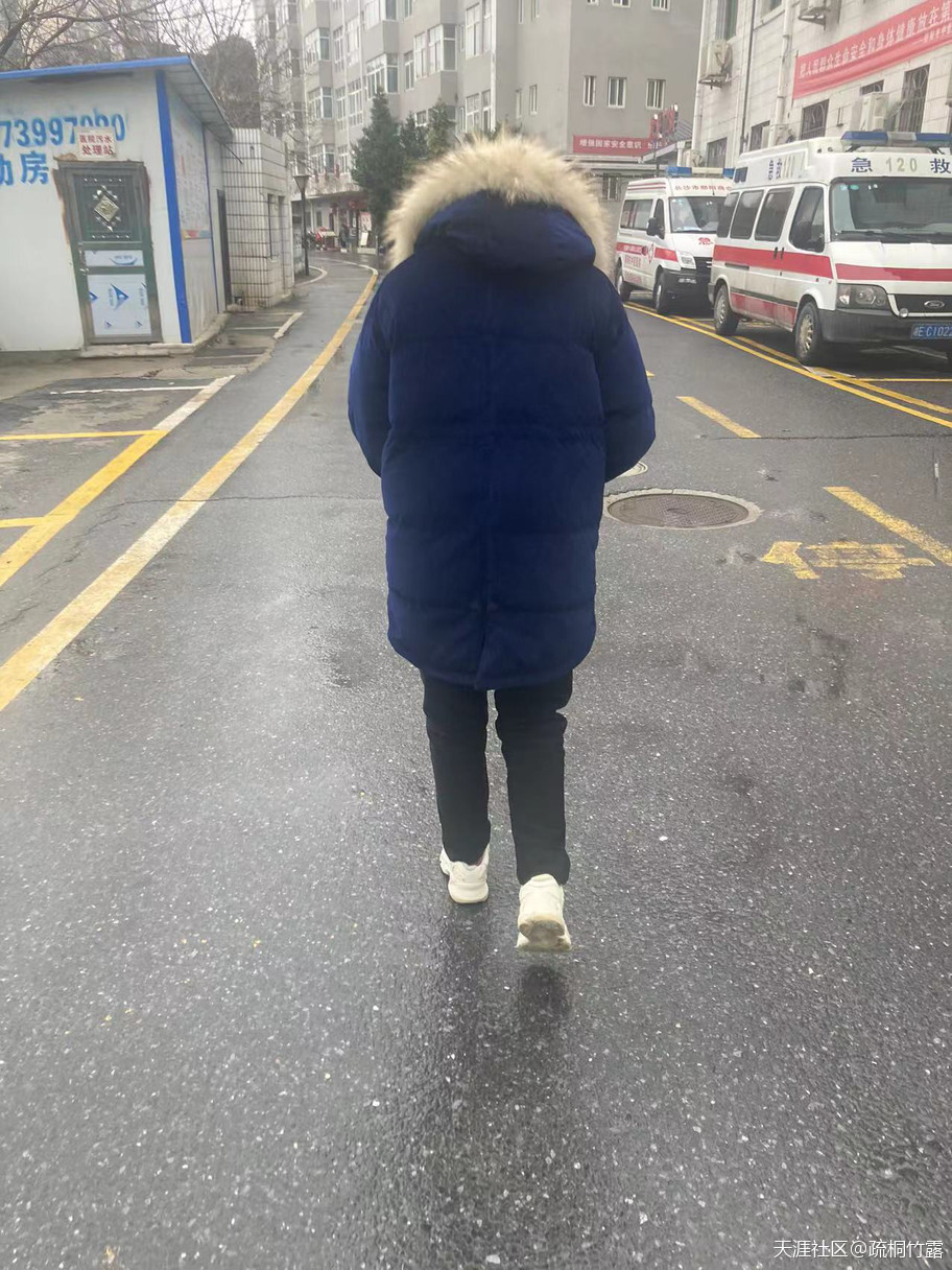 323783225.jpg