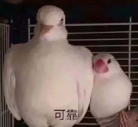 20220220150935front1_0_181252_FpwTgvtdSYrRYo4OpQCudKvXAt0r.jpg